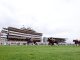 More Thunder keeps up winning momentum in Hungerford Stakes at Newbury | Racing News