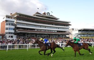 Today on Sky Sports Racing: Flowerhead and Novelette clash in Newbury feature | Racing News