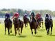 Today on Sky Sports Racing: Windsor hosts eight-race card | Racing News