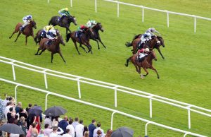 Weekend Winners: The team have their say on Saturday’s Hungerford Stakes at Newbury | Racing News