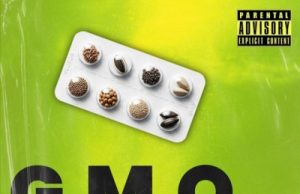 Vector – G.M.O (Freestyle) (Mp3 Download)