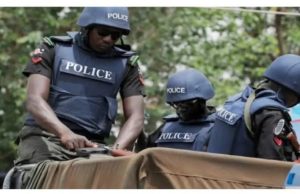 Police arrest man for sexual assault of 11-year-old girl in Yobe