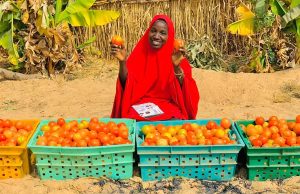 HortiNigeria empowers women farmers to boost food security in Kano