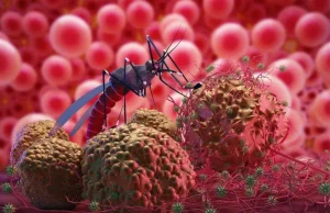 Stakeholders pledge to end malaria in Nigeria by 2030