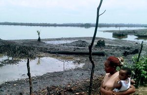 Sale of Nigerian oil assets violate international law, frustrate environmental cleanup