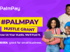 PalmPay Hustle Grant: Supporting Entrepreneurs with N500,000 to Grow Their Business