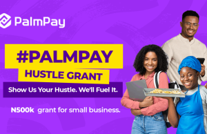 PalmPay Hustle Grant: Supporting Entrepreneurs with N500,000 to Grow Their Business