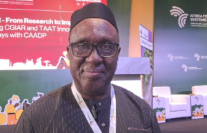 Africa imports close to $50 billion worth of food annually- official