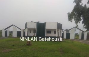 Institute launches digital tools, acculturation centres to revive Nigerian languages
