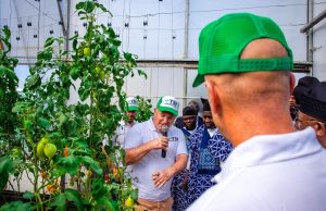 Zulum backs Taraba greenhouse initiative to combat food crisis