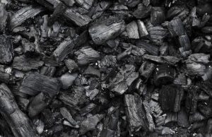 Experts fault Nigeria’s forest economy plan for sidelining charcoal, urge policy reform
