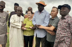 Chinese investors eye $720million agriculture, renewable energy projects in Katsina State