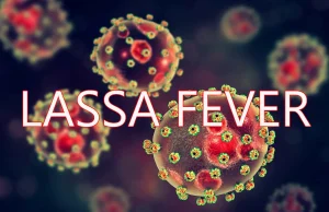 ECOWAS Lassa fever conference opens in Abidjan