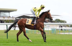 Haydock: Bow Echo eyes Classic glory after Ascendant Stakes strike | Racing News