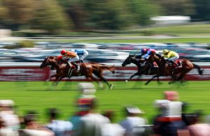 ParisLongchamp Arc Trials: Five things to take away | Racing News
