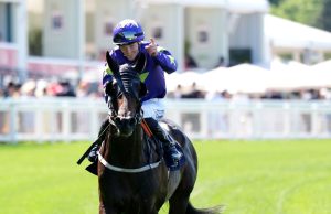 St Leger Stakes: Paddy Twomey relishing underdog status as Carmers prepares for Doncaster Classic tilt | Racing News