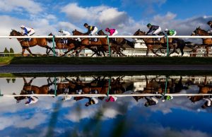 Today on Sky Sports Racing: Lingfield, Southwell and Sedgefield | Racing News