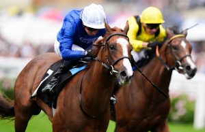 Today on Sky Sports Racing: Ascot and Wolverhampton | Racing News