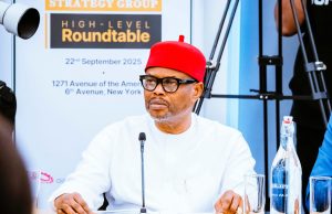 Geoffrey Nnaji, Nigeria’s Minister of Innovation resigns amid controversy