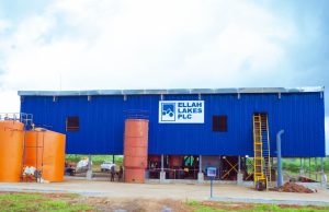 Ellah Lakes enters pact to acquire Tolaram’s agro-processing business