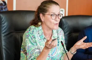 Germany-Nigeria trade volume rises 30% to €3 billion – Ambassador