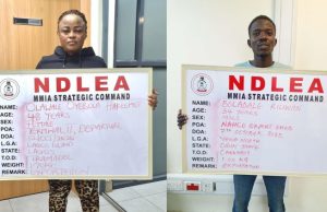NDLEA intercepts drugs hidden in frozen snails, bulbs at Lagos airport