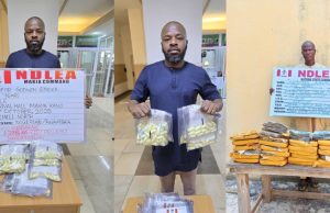 NDLEA arrests boutique owner with 1.4kg cocaine at Kano Airport