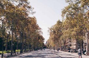 Autumn Dishes in Barcelona: 7 Must-Try Local Favorites