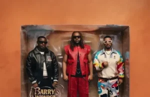 Bees & honey – Barry Wonder ft. Ruger, Daecolm, 10.93 (Mp3 Download)