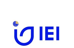 IEI announces CEO resignation, names acting head