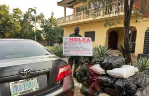 Nigerian army seizes over 108 kilograms of cannabis, arrests suspect in Kogi state