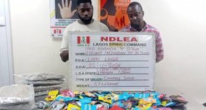 NDLEA uncovers Canadian Loud disguised as Christmas cookies, arrests distributors in Lagos