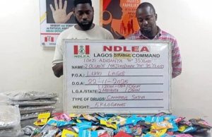 NDLEA uncovers Canadian Loud disguised as Christmas cookies, arrests distributors in Lagos
