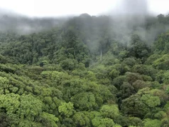 Top Costa Rica Travel Mistakes for First-Time Visitors (& How to Avoid Them)