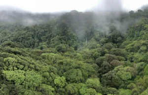Top Costa Rica Travel Mistakes for First-Time Visitors (& How to Avoid Them)