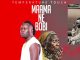 Temperature Touch – Mama Ne Bobi (Mp3 Download)