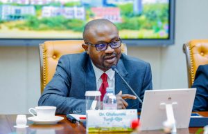 FG to launch Single Travel Emergency Passport in January 2026