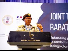 Nigeria Immigration Service to launch Single Travel Emergency Passport for Nigerians abroad