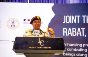 Nigeria Immigration Service to launch Single Travel Emergency Passport for Nigerians abroad