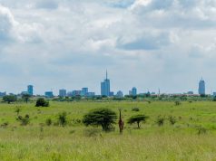 What to Do for a Day Trip in Nairobi: The Ultimate 24-Hour Itinerary