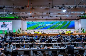 COP30: Nigeria to mobilise $3 billion annually in climate finance – Shettima