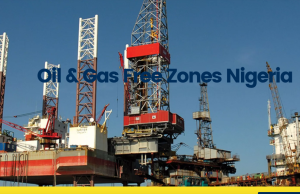 OGFZA canvasses 10-year tax exemption to sustain $24bn investments