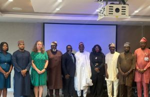 Only 2.5GW of Nigeria’s 14GW hydro-power capacity reaches national grid — Official