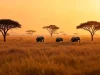 Is the Masai Mara Worth It?