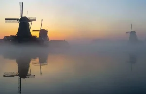 Navigating Internet Access in the Netherlands: A Traveler’s Guide