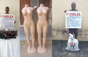NDLEA nabs businessman trafficking 5.3kg tramadol to Cameroun in mannequins
