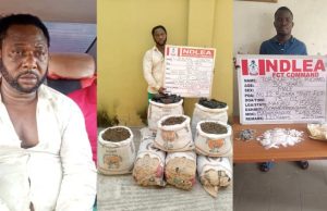 NDLEA nabs drug lord Lekan Jimoh, after 12-year manhunt