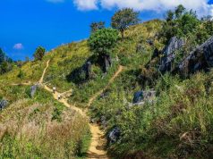 5 Half-Day Hikes With Big Views (Perfect for Burnout Week)