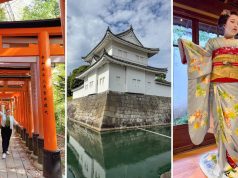 My Favorite Tours to Take in Kyoto, Japan on Your First Trip