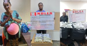 NDLEA arrests Milan-bound passenger for ingesting 82 wraps of cocaine at Kano airport